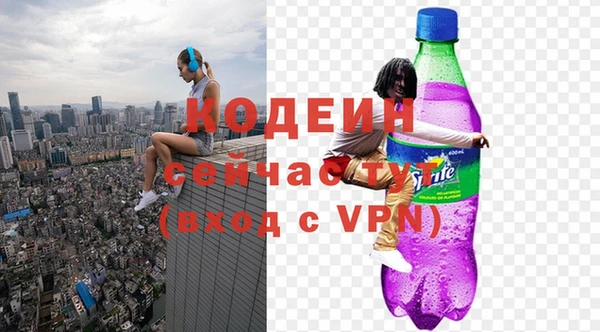 шишки Нязепетровск
