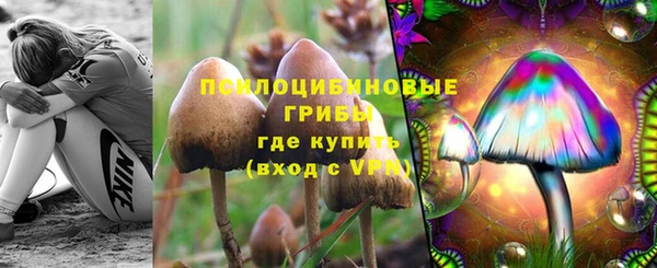 шишки Нязепетровск