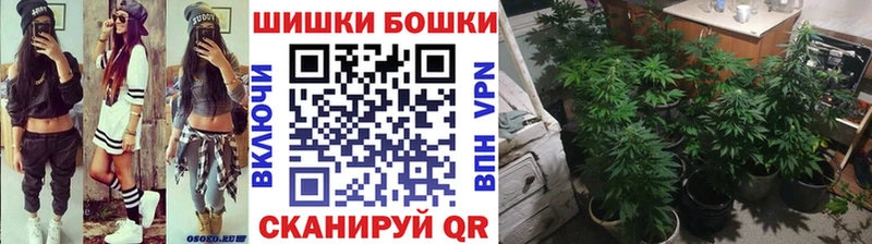 Шишки марихуана Amnesia  Купить закладки  Тырныауз 